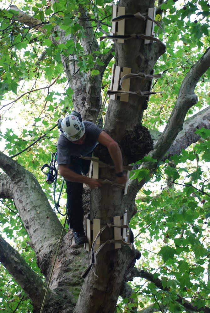 <p>Installing 'tree-protectors' for our&nbsp;<a href="/admin/galleries/imagegallery/23/project/bloomsbury-fesitval/">Hanging Out in the Park</a>&nbsp;installation. Image credit Kyle Buchanan.&nbsp;</p>